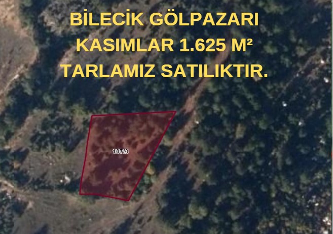 BİLECİK GÖLPAZARI KASIMLAR 1.625 M² TARLAMIZ SATILIKTIR. - BİLECİK GÖLPAZARI fotoğraf 6